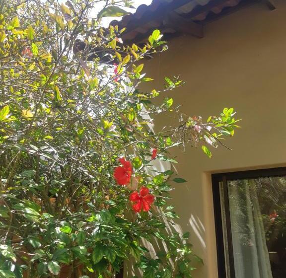 غرفة ديلوكس, Tidal Retreat