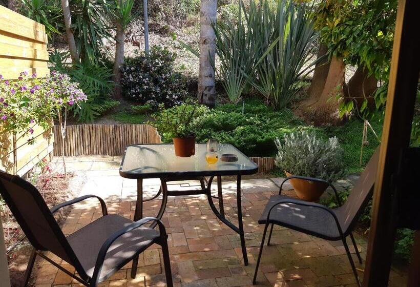 غرفة ديلوكس, Tidal Retreat