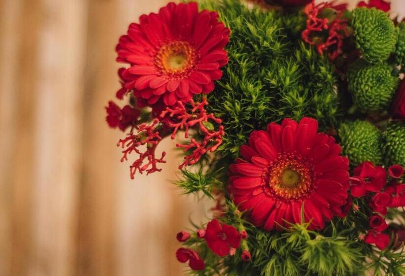 חדר סטנדרט, In Vacanza A Gaeta   B&b L Elica