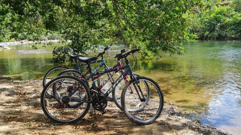 מיטה בחדר משותף, La Qhia Eco Retreat