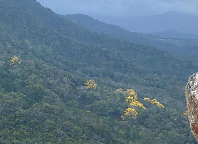 חדר סטנדרט, La Qhia Eco Retreat