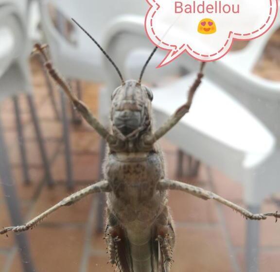 غرفة عائلية حمام مشترك, Casa Albano