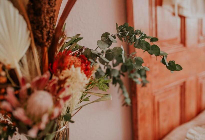 إستوديو ديلوكس, Balneario Casa Pallotti