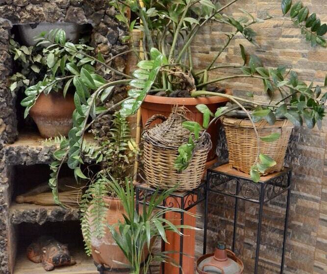 غرفة قياسية, Pensión Playa