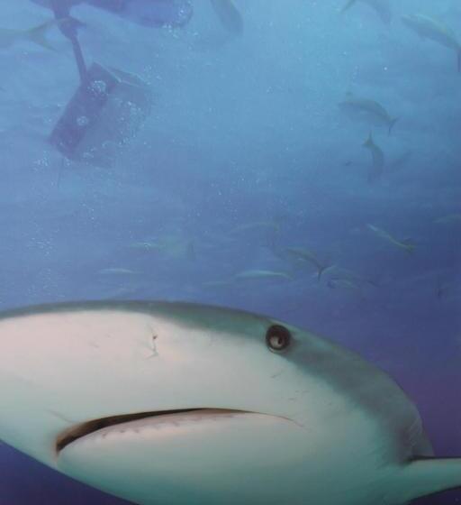 2 Bedroom Premium Apartment, Apartamentos Turísticos Vistademar