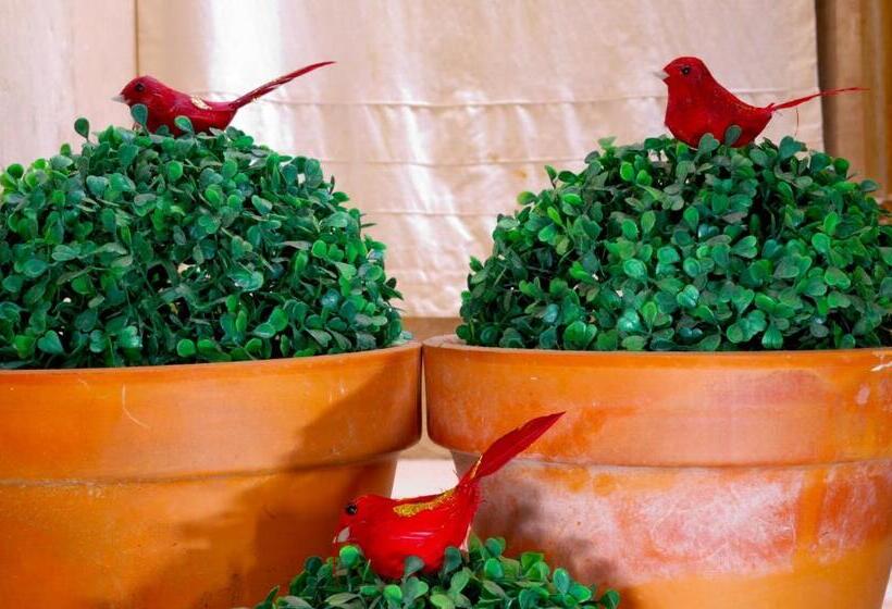 استودیو استاندارد با بالکن, Olmitos 3, Casa Palacio Real Piedad