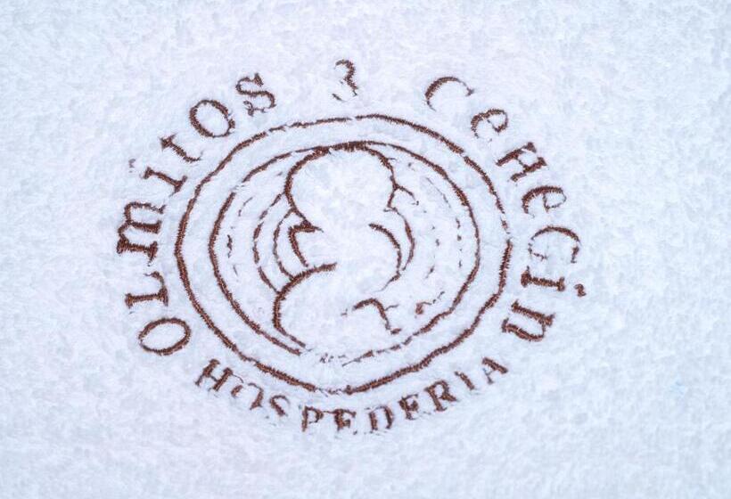 اتاق سوپریور, Olmitos 3, Casa Palacio Real Piedad