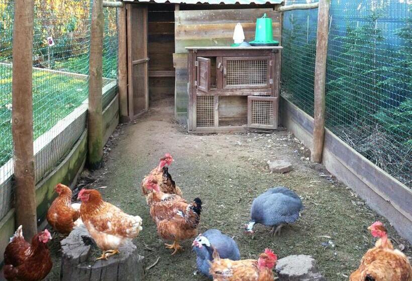 آپارتمان 2 خوابه, Herdade Do Kuanza