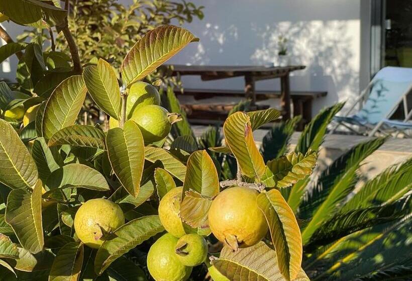 آپارتمان سوپریور 1 خوابه, Herdade Do Kuanza