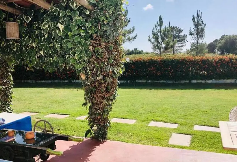 ベーシックルーム, Ponte Pedra   Melides Country House Adults Only