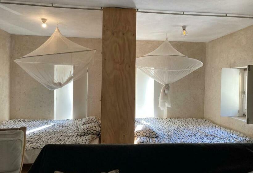 منزل غرفتين نوم, Moleiro Da Costa Má