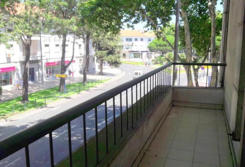 غرفة قياسية حمام مشترك, Palm Guesthouse B&b Rooms