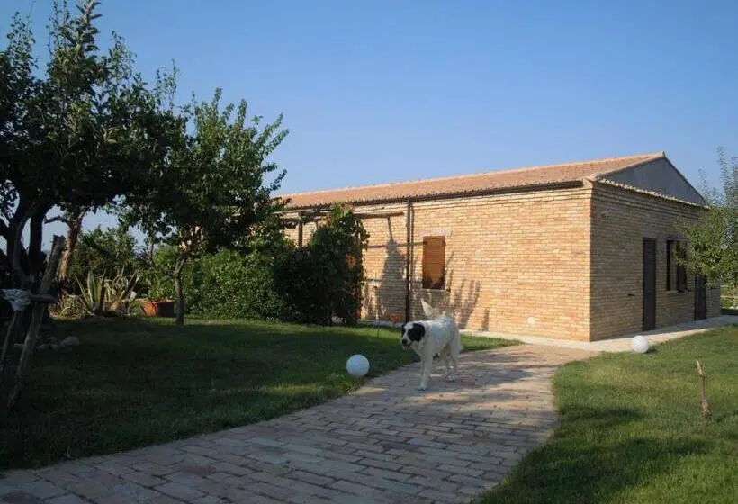 キングサイズベッドのスタンダードルーム, Agriturismo Piccolo Albero