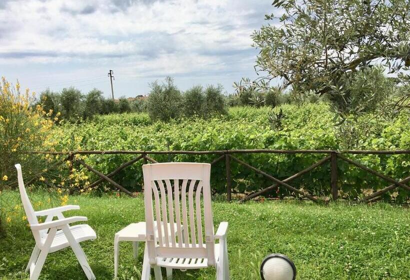 غرفة قياسية, La Cipriana