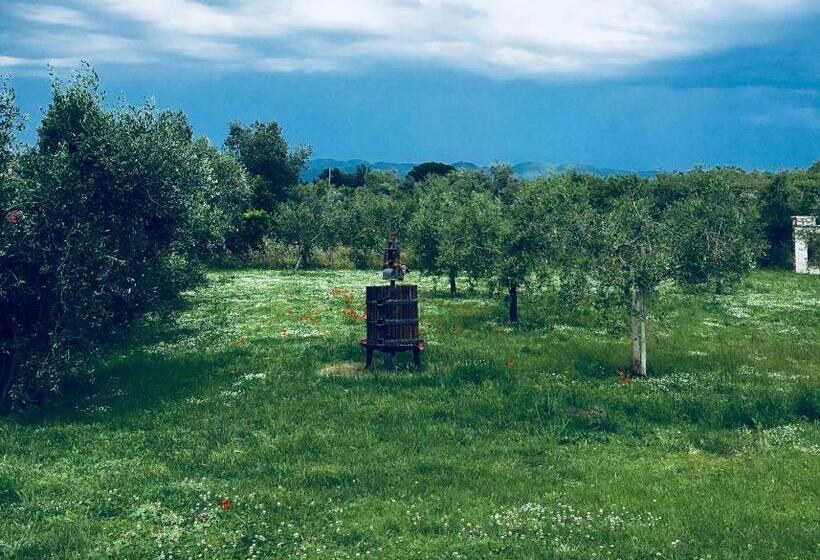 غرفة قياسية, La Cipriana