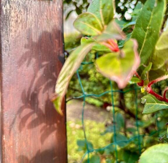 Апартаменты 1 Спальня Нижний Этаж, Lauri & Faggi