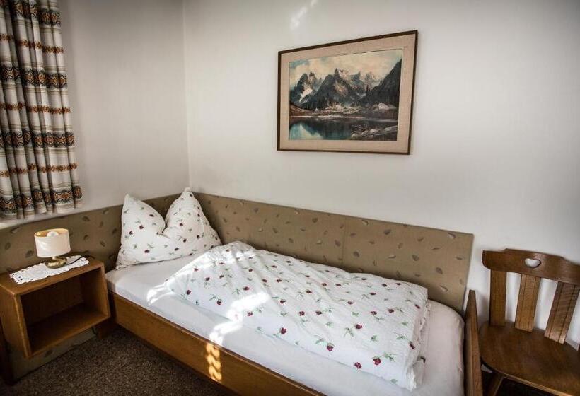 带1个卧室带观景的公寓, Residence Rienz