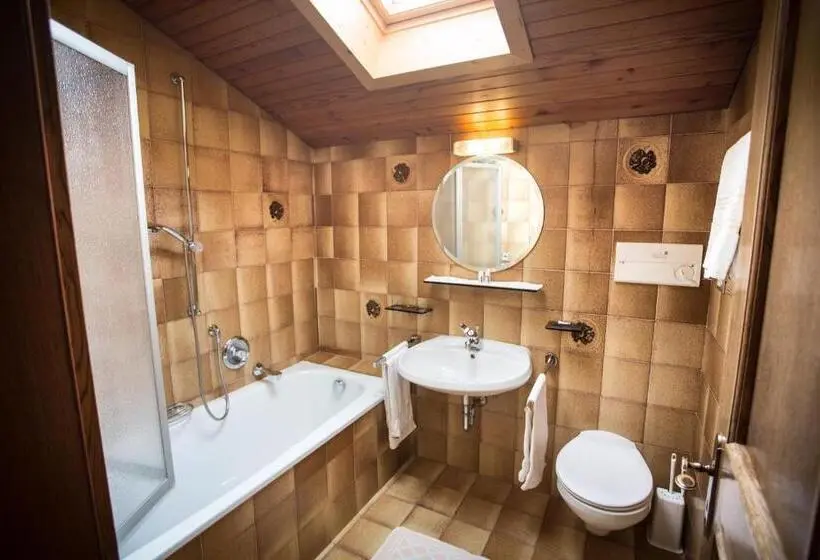 バルコニー付き1ベッドルームアパートメント, Residence Rienz