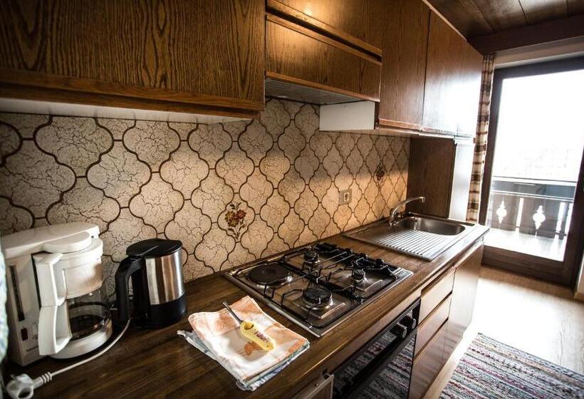 Апартаменты 1 Спальня с Балконом, Residence Rienz