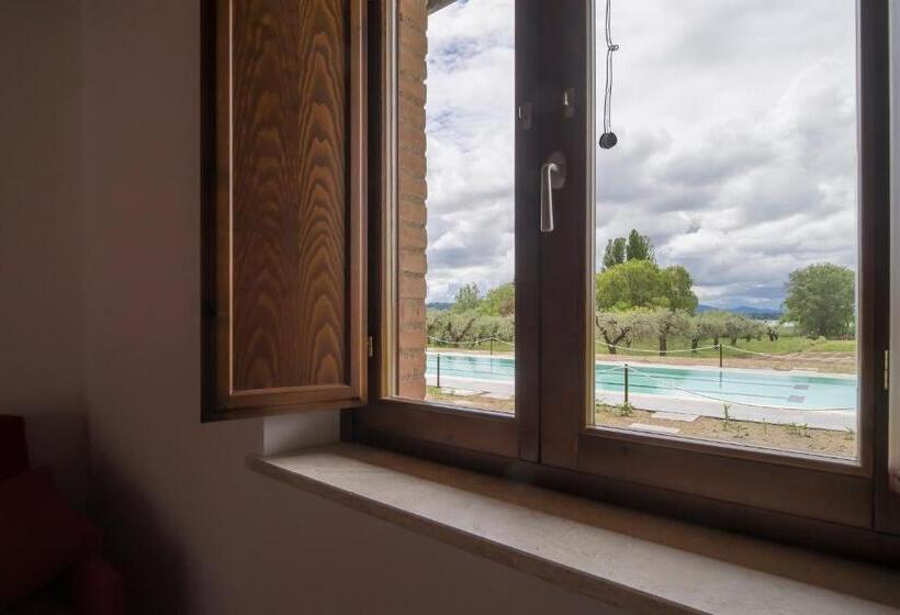 דירת חדר סופריור, Lagolivo