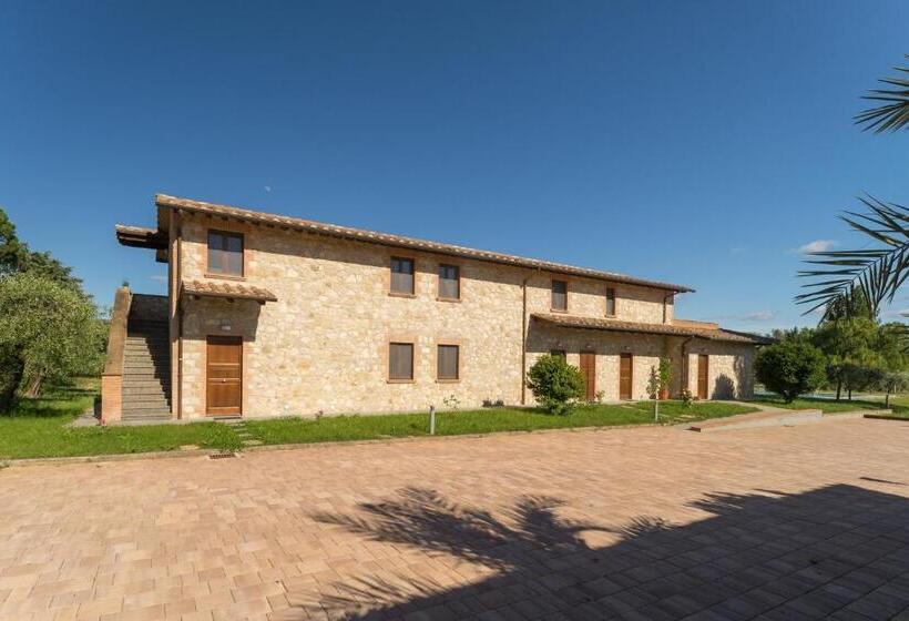 דירת חדר סופריור, Lagolivo