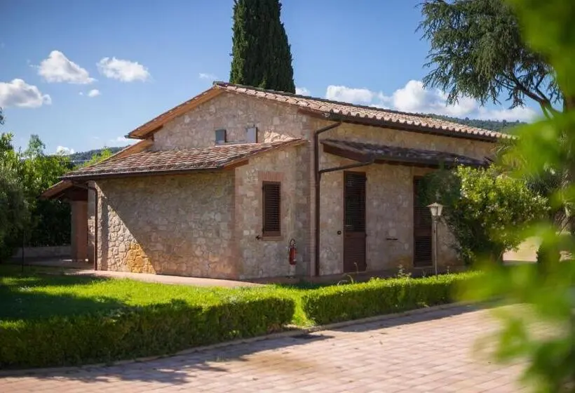 １ベッドルームハウス, Lagolivo