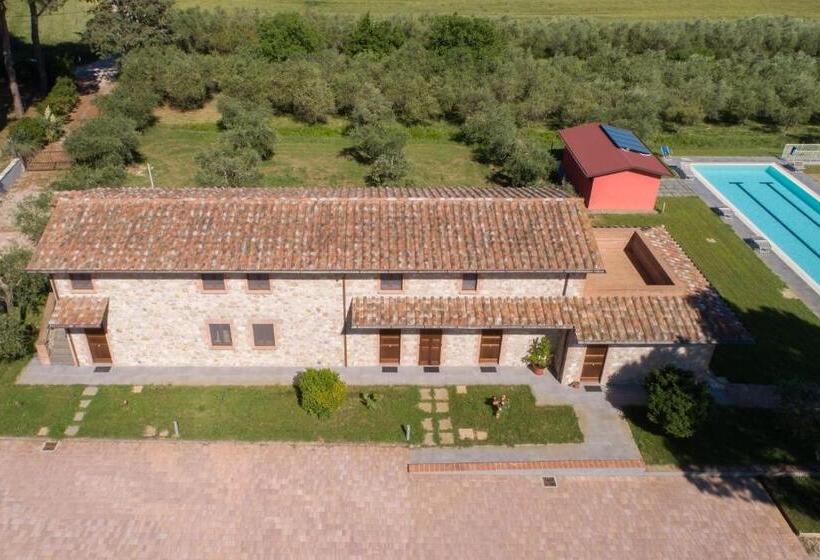 דירת חדר סופריור, Lagolivo