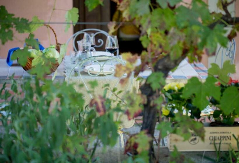 Апартаменты 1 Спальня, Agriturismo Tra Gli Ulivi, Chiappini