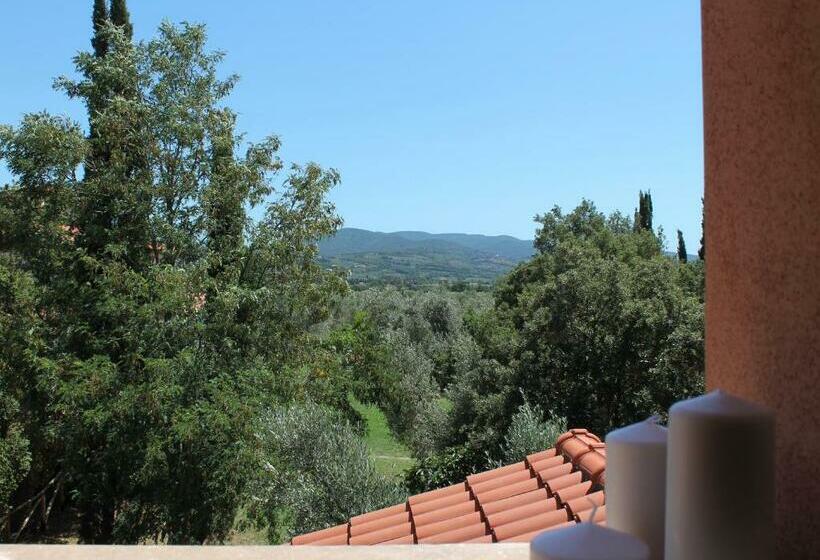 Номер Стандарт, Agriturismo Tra Gli Ulivi, Chiappini