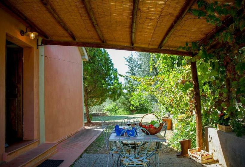 Апартаменты 1 Спальня, Agriturismo Tra Gli Ulivi, Chiappini