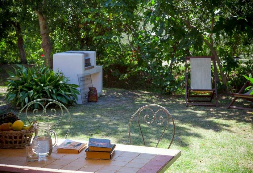 Апартаменты 1 Спальня, Agriturismo Tra Gli Ulivi, Chiappini