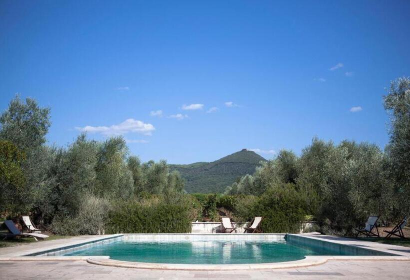 Апартаменты 1 Спальня, Agriturismo Tra Gli Ulivi, Chiappini