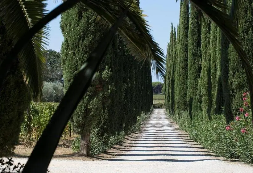 スタンダードルーム, Agriturismo Tra Gli Ulivi, Chiappini