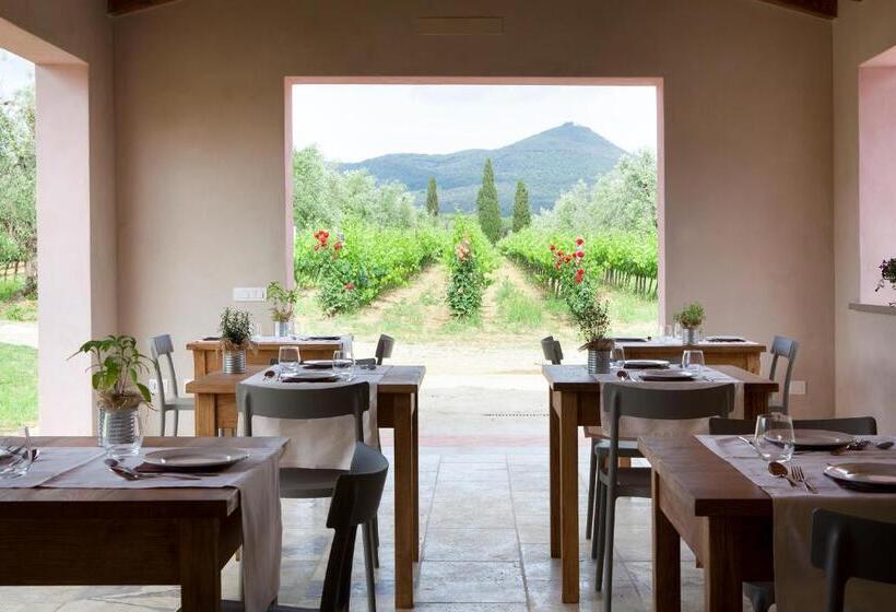 Номер Стандарт, Agriturismo Tra Gli Ulivi, Chiappini