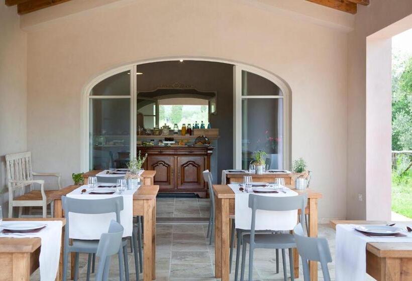 Номер Стандарт, Agriturismo Tra Gli Ulivi, Chiappini
