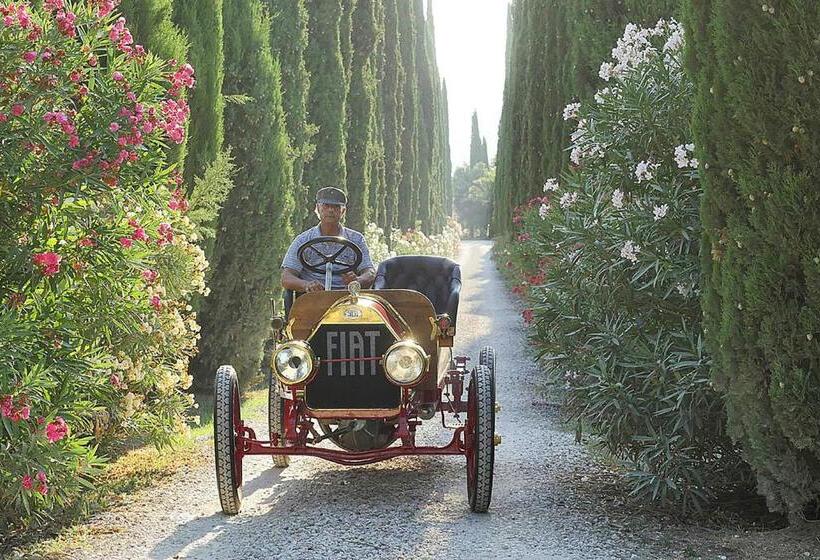 Номер Стандарт, Agriturismo Tra Gli Ulivi, Chiappini