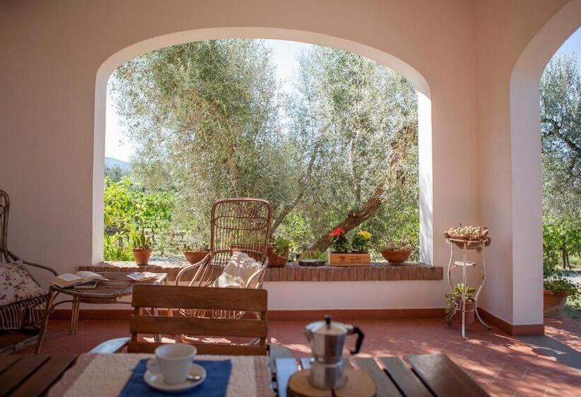 Апартаменты 1 Спальня Вид на Сад, Agriturismo Tra Gli Ulivi, Chiappini