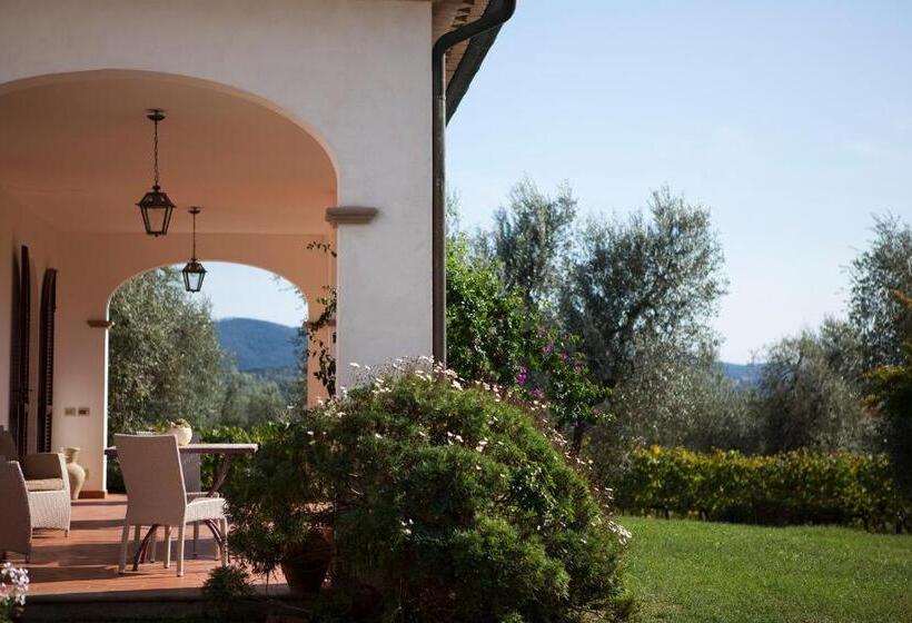 Номер Стандарт, Agriturismo Tra Gli Ulivi, Chiappini