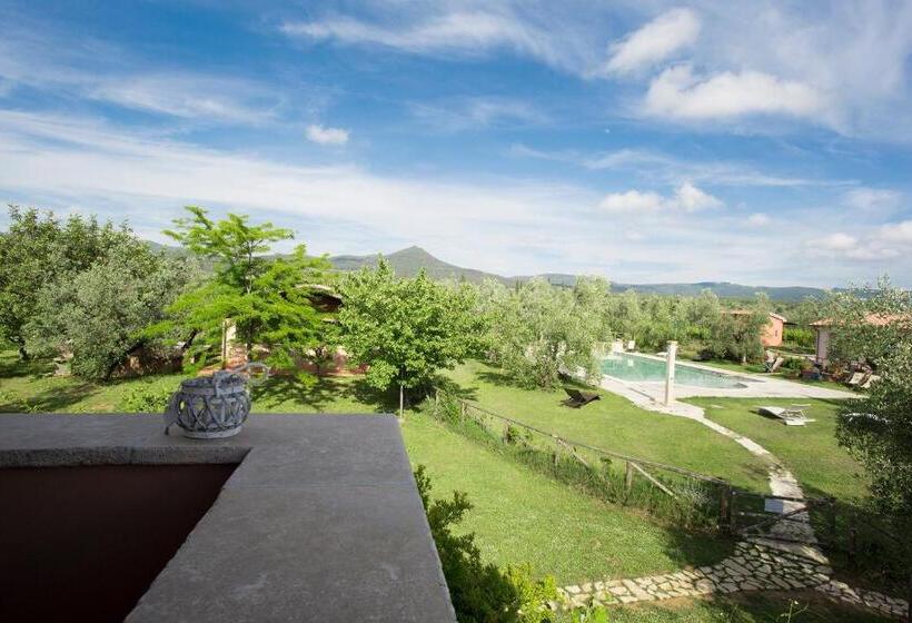 Номер Стандарт, Agriturismo Tra Gli Ulivi, Chiappini