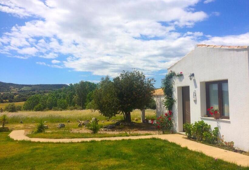 חדר סופריור נוף לגינה, Agriturismo Turudhis