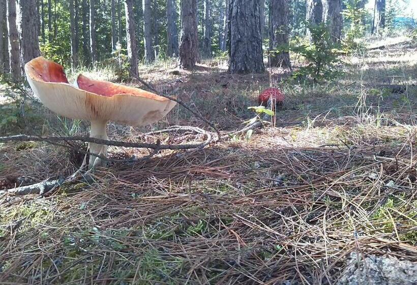 חדר דלוקס, Guest House Caracas