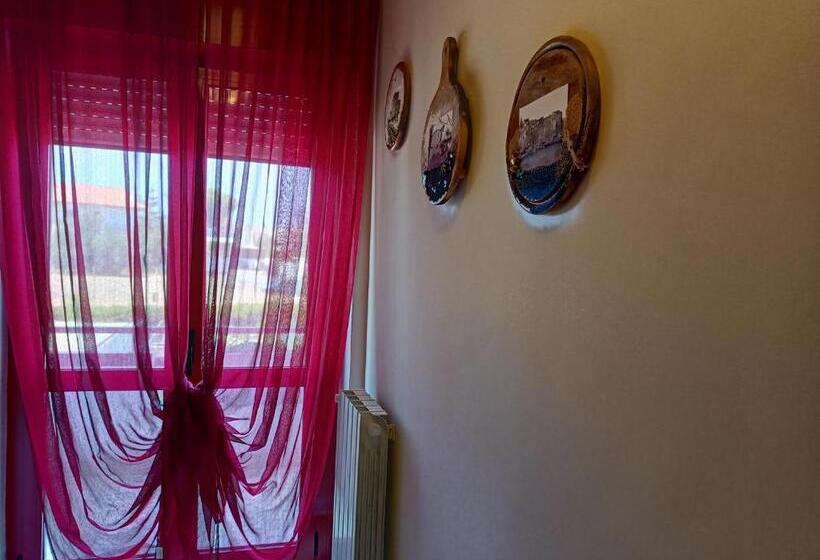 Номер Стандарт, Mscamere