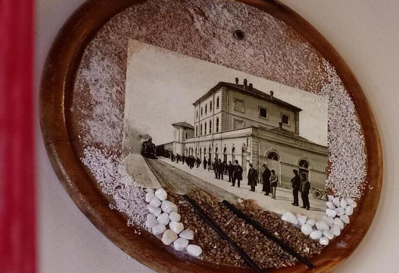 Номер Стандарт, Mscamere