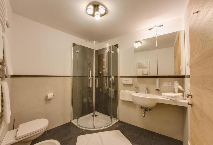Апартаменты Superior 1 Спальня, Residence Silvia