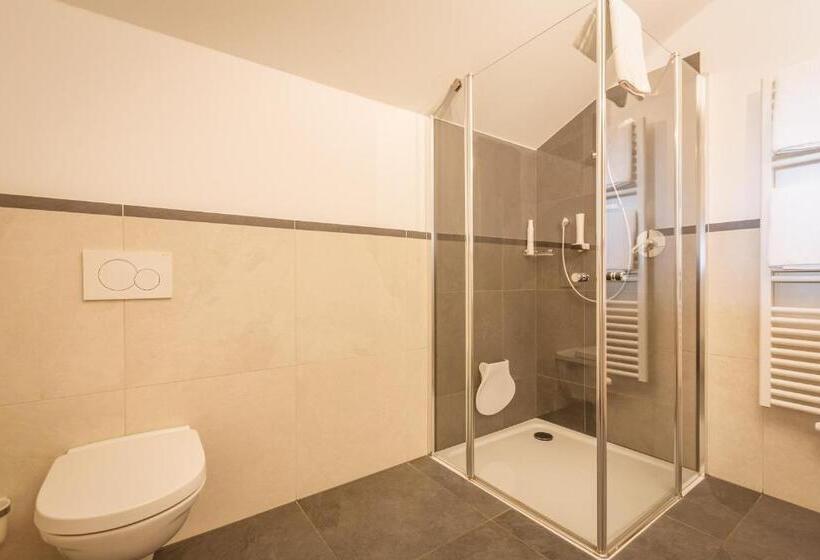 Апартаменты Superior 1 Спальня, Residence Silvia
