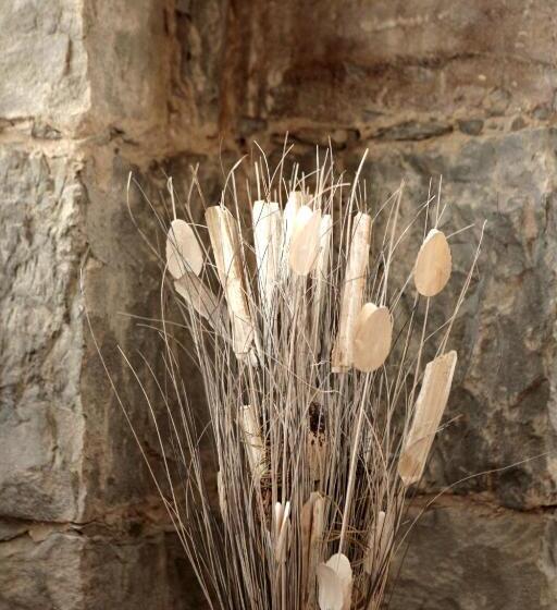 آپارتمان 1 خوابه, Residence Theresia Tailor Made Stay