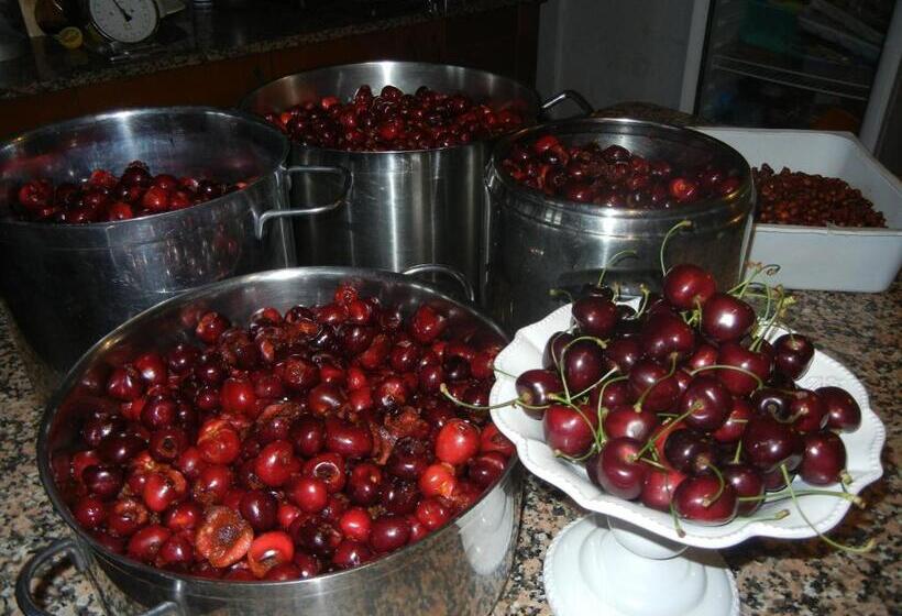 スタンダードルーム, Agriturismo Calderino