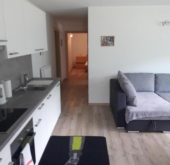 شقة غرفة واحدة ذات إطلالة, Hofstatthof