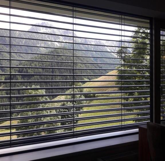 شقة غرفة واحدة ذات إطلالة, Hofstatthof