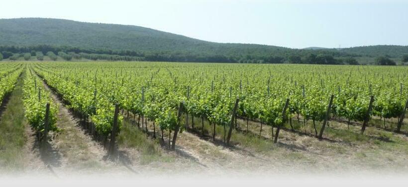 标准工作室, Le Stanze Di Zelinda